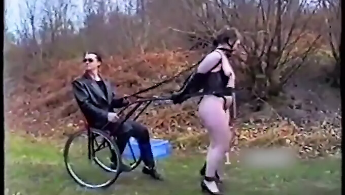 Ponygirls In Bdsm Training