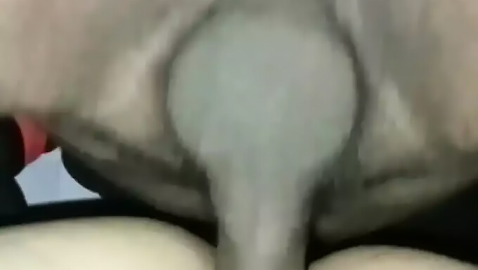 Hardcore Wife Gets Anal In Homemade Video